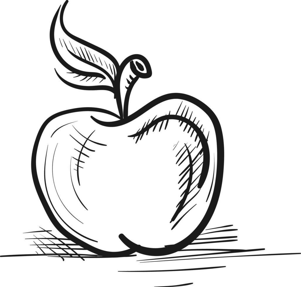 Sketch of a apple, vector or color illustration.