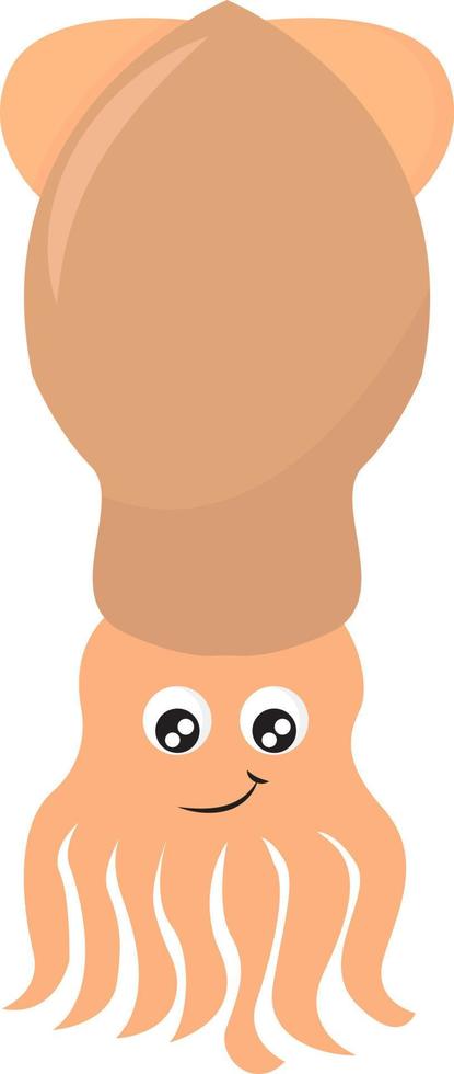 Squid, illustration, vector on white background.