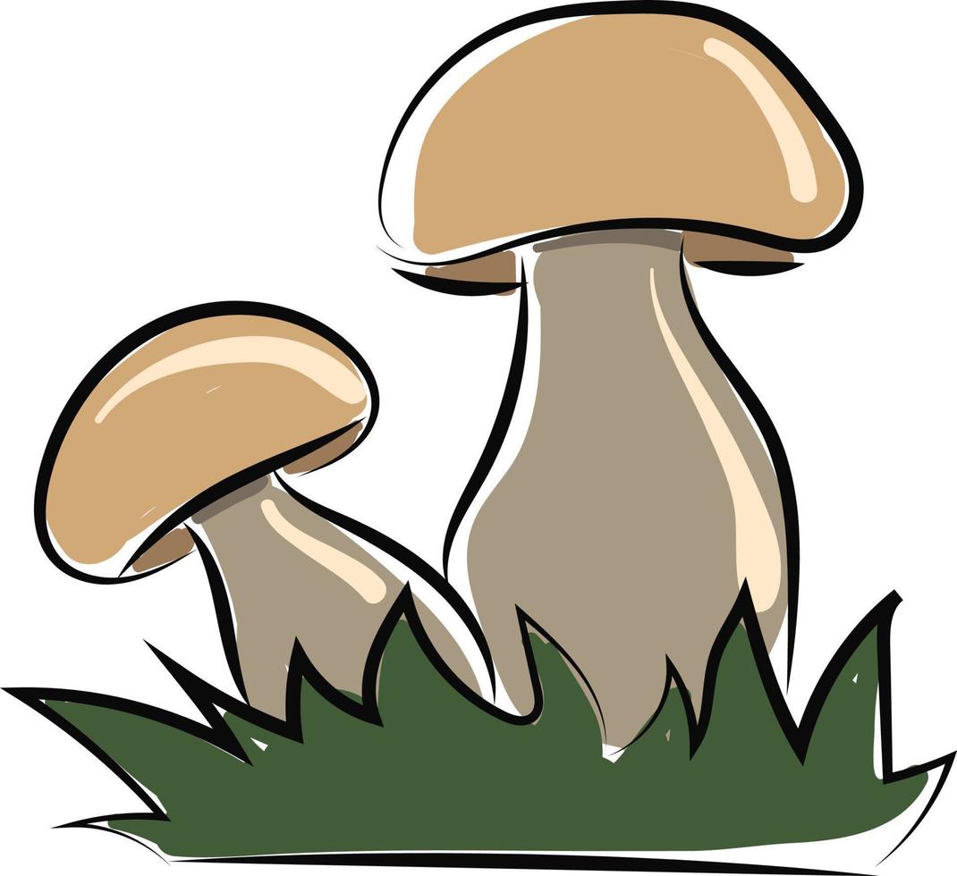 Mushroom in grass, illustration, vector on white background.