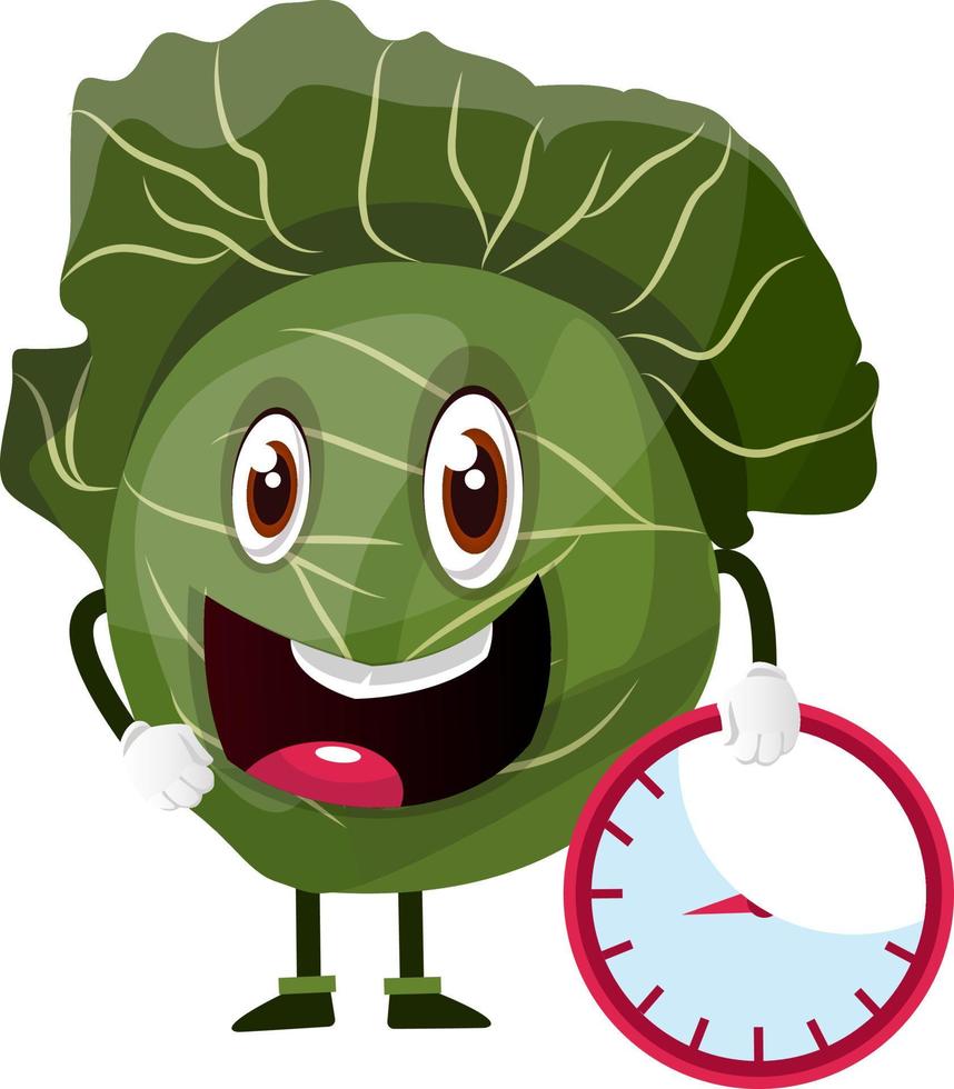 Cabbage is holding a clock, illustration, vector on white background.