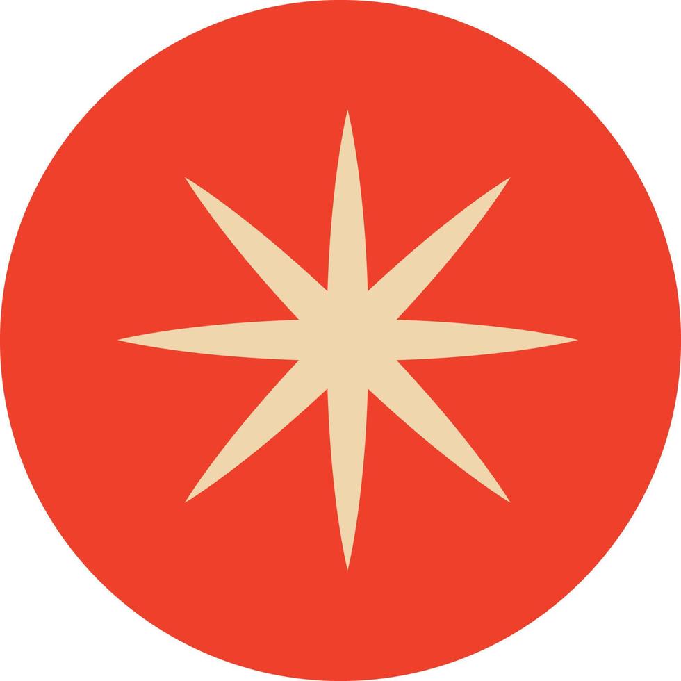 Christmas star icon vector
