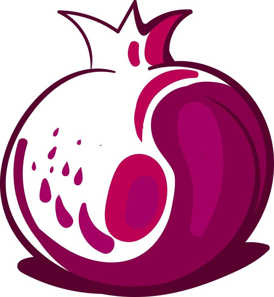 Pomegranate drawing, illustration, vector on white background