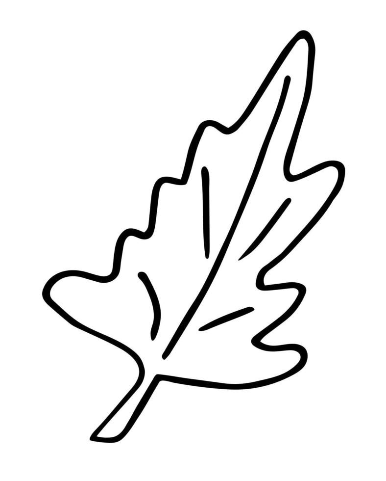 Hand drawn brunch with leaves. Doodle vector illustration.