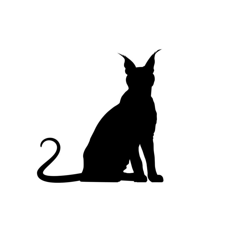 Caracal Cat Silhouette for Art Illustration, Logo, Pictogram, Website or Graphic Design Element. Vector Illustration