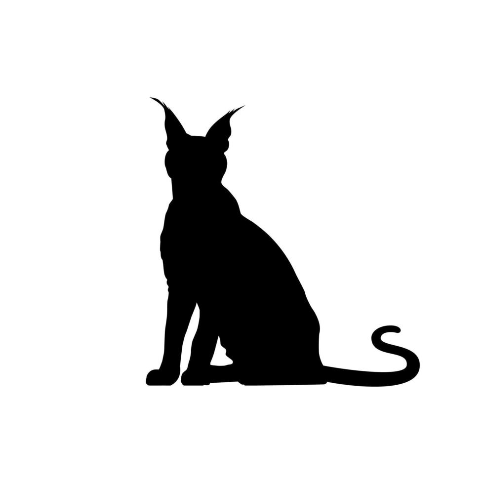 Caracal Cat Silhouette for Art Illustration, Logo, Pictogram, Website or Graphic Design Element. Vector Illustration