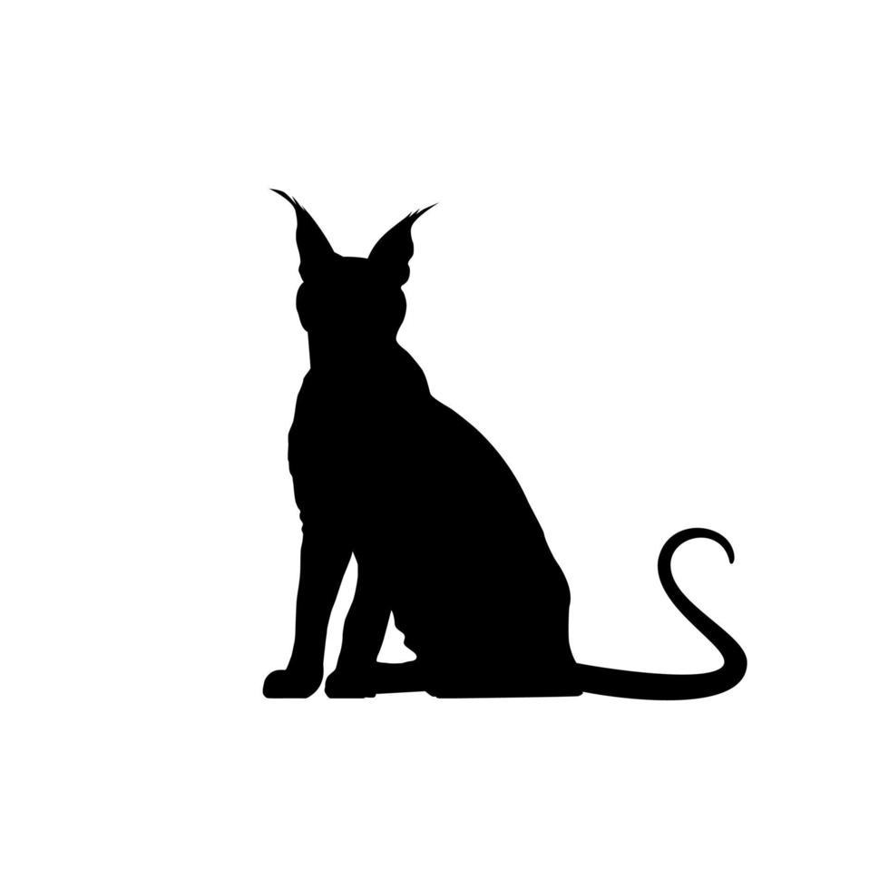 Caracal Cat Silhouette for Art Illustration, Logo, Pictogram, Website or Graphic Design Element. Vector Illustration