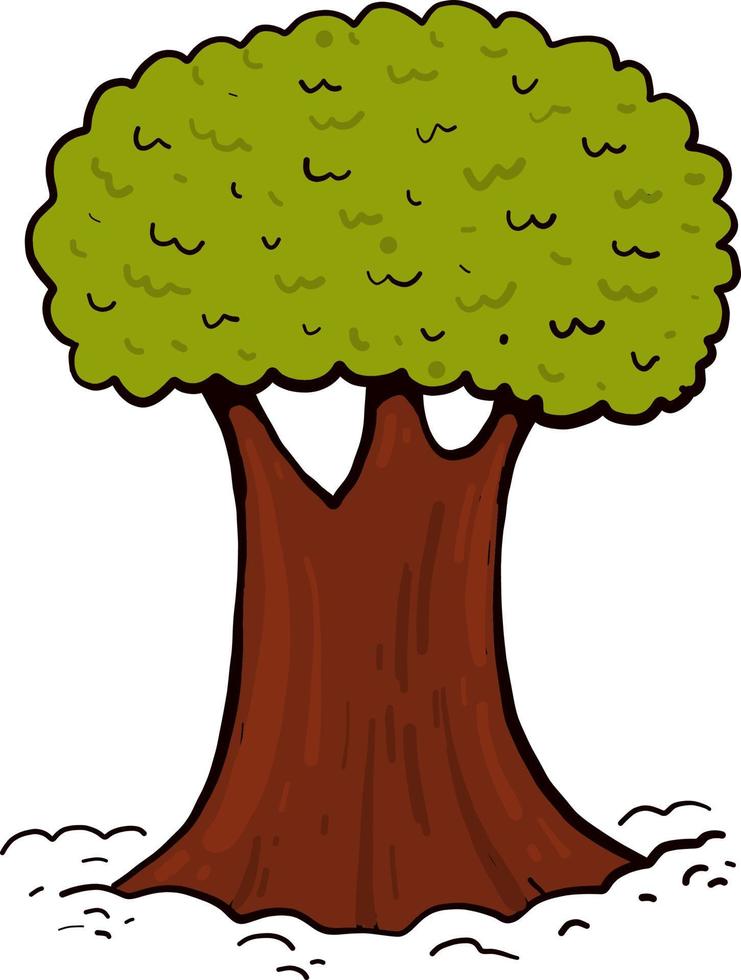 árbol gordo, ilustración, vector sobre fondo blanco.