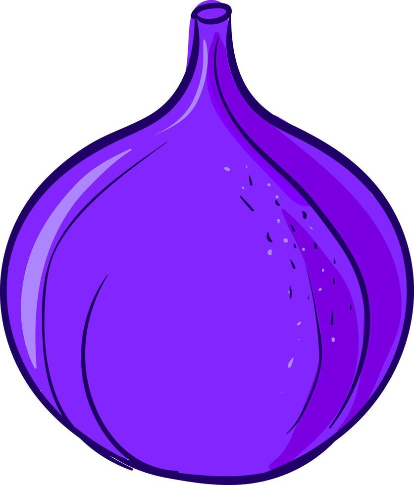 Purple fig, illustration, vector on white background.