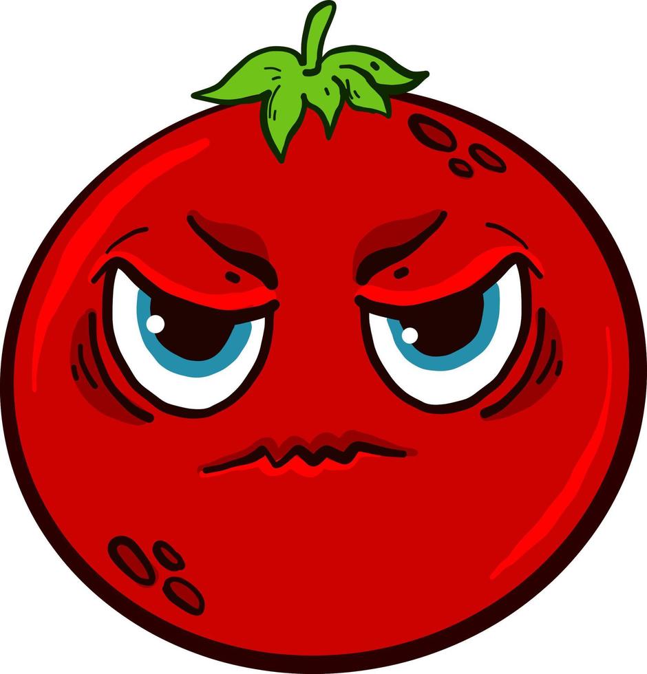 Angry red tomato,illustration,vector on white background vector
