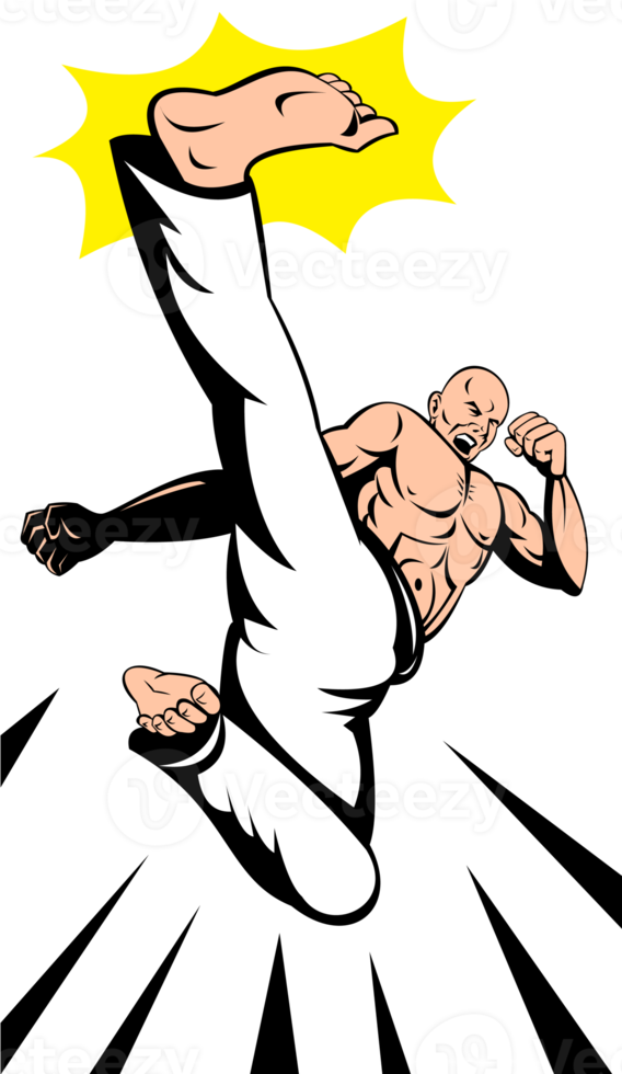 Martial Arts Kung Fu Karate Kick png