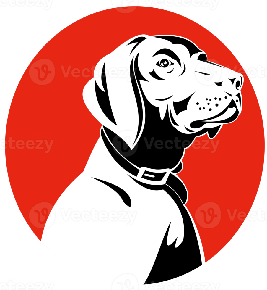 golden labrador retriever dog head png