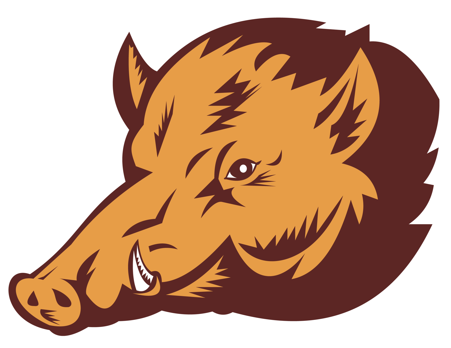 wild pig head 13787627 PNG