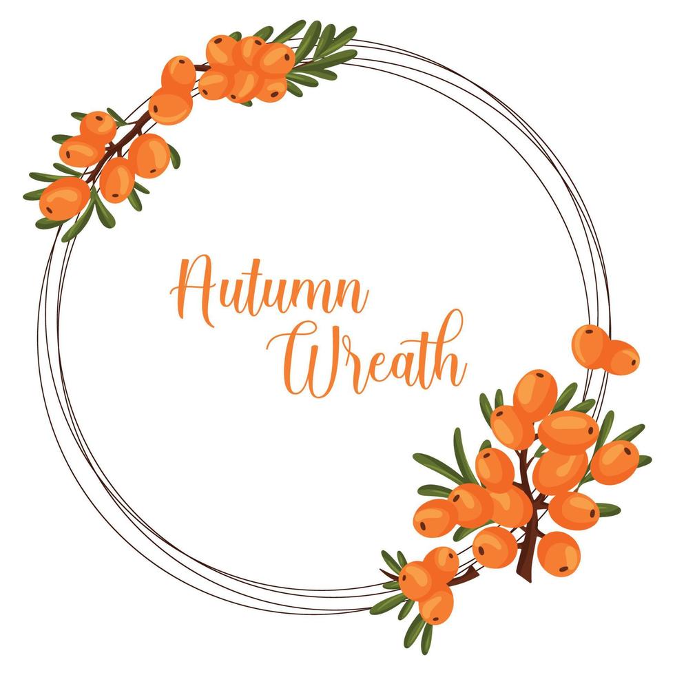 Autumn wreath with sea buckthorn berries with space for text. Vector illustration isolated white background.