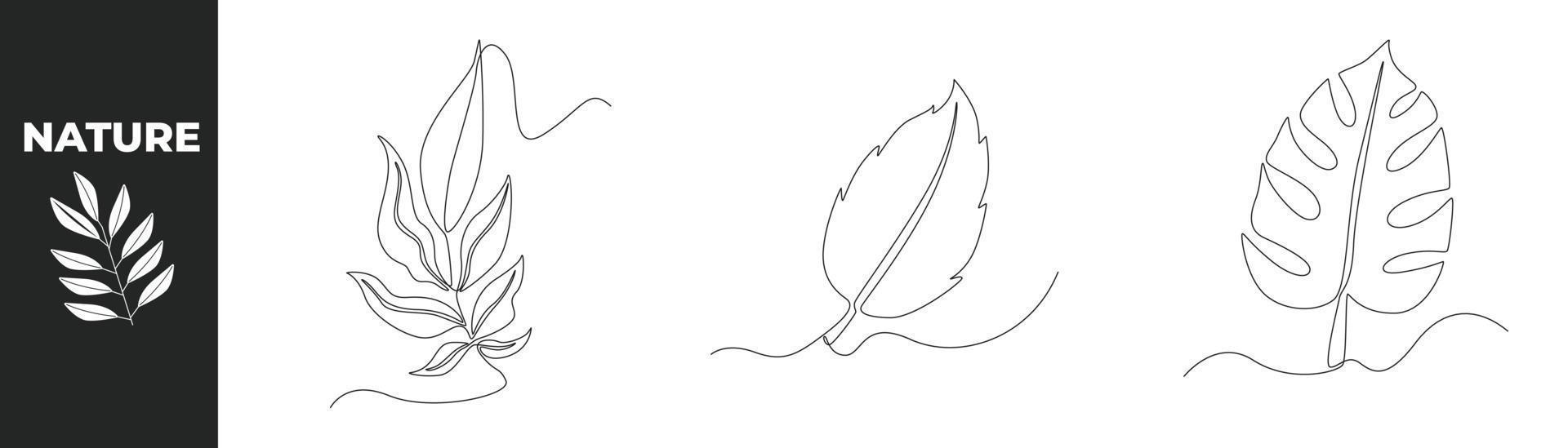 Single one line drawing leaves set concept. Beautiful Leaves. Continuous line draw design graphic vector illustration.