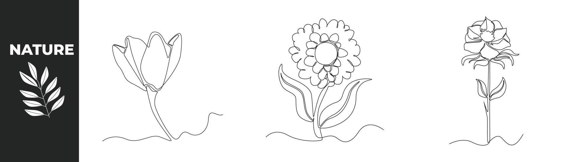 Single one line drawing flower set concept. Beautiful and blooming flowers . Continuous line draw design graphic vector illustration.