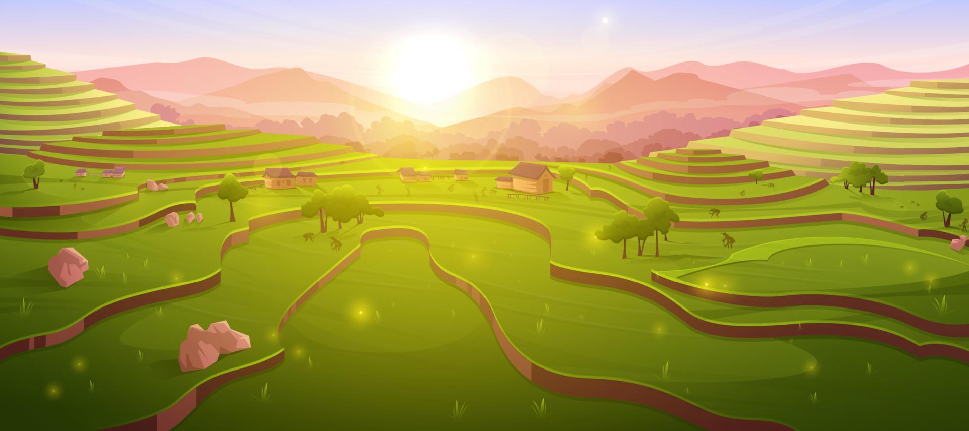 Terraced rice fields at sunrise, morning farmland vector