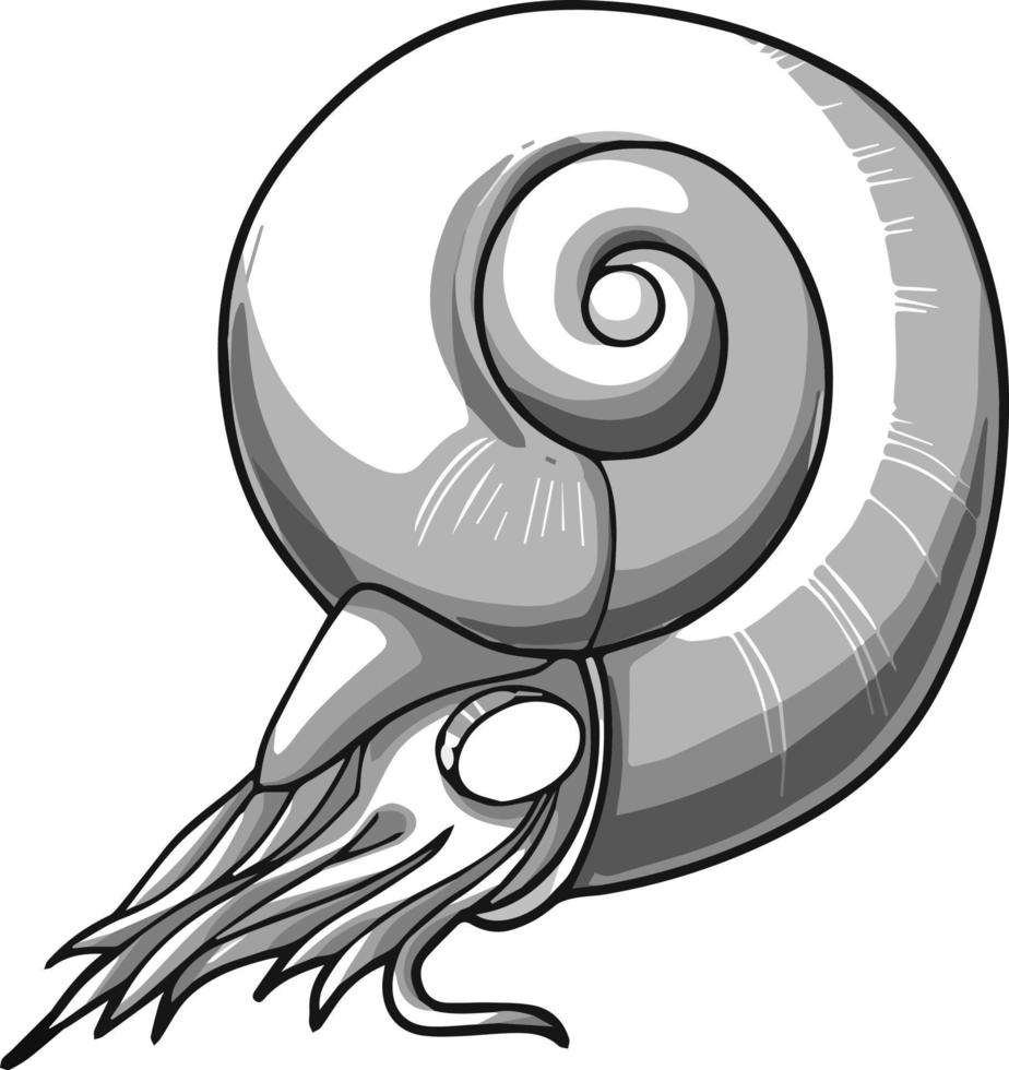 A sea clam. Drawing made by hand in shades of grey. For colouring books and your books. vector