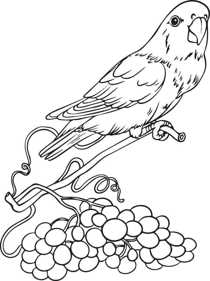 A parrot on a branch of grapes. Hand-drawn drawing in black and white. For illustrations and colouring books. vector