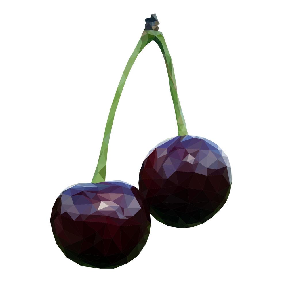 Two cherries, ripe and deep red vector