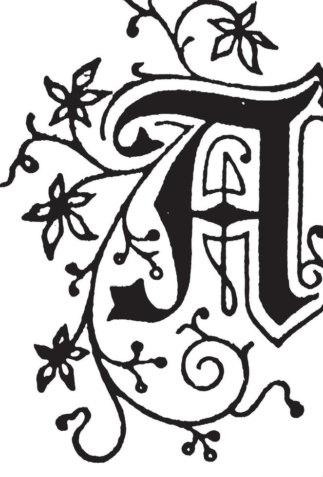 A, Floral initial, vintage illustration vector