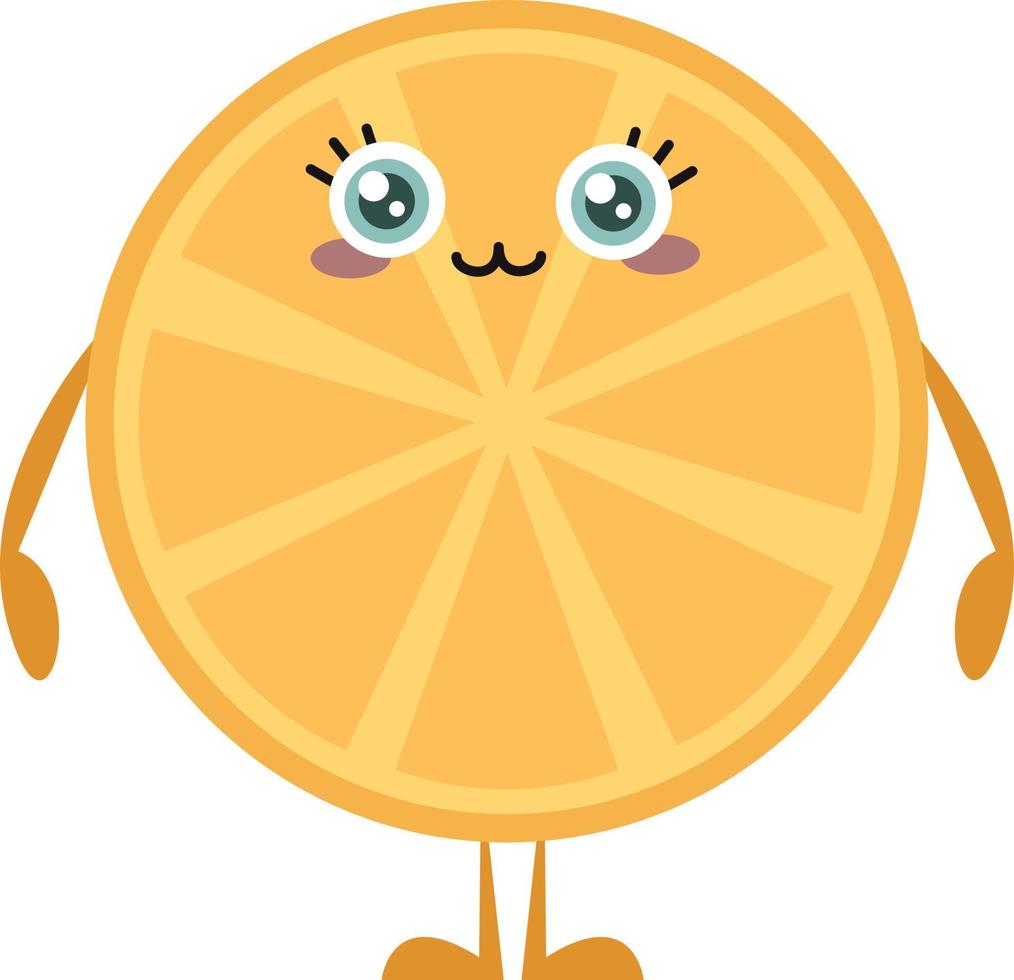 rodaja de naranja, ilustración, vector sobre fondo blanco