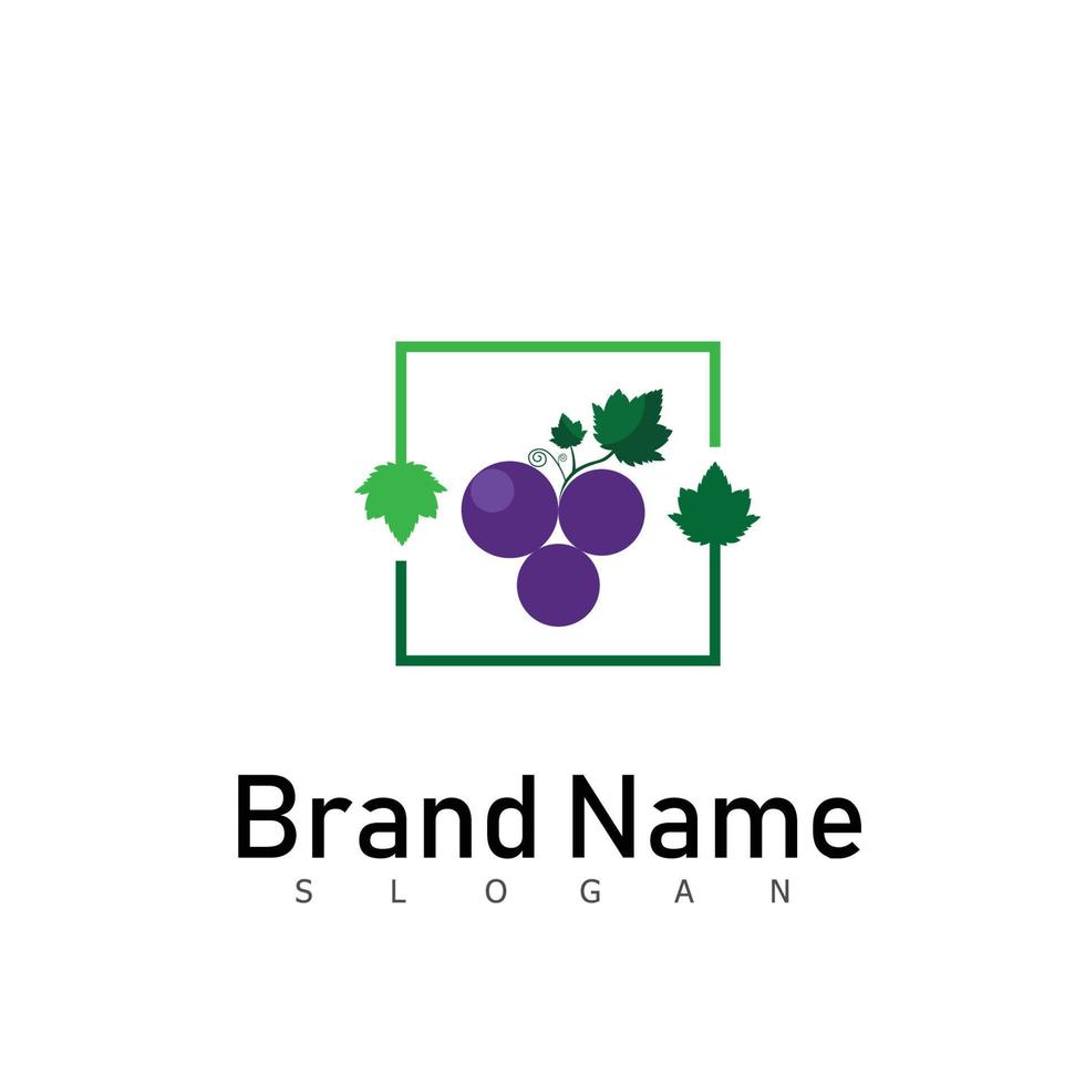fruta uva logo diseño naturaleza símbolo vector