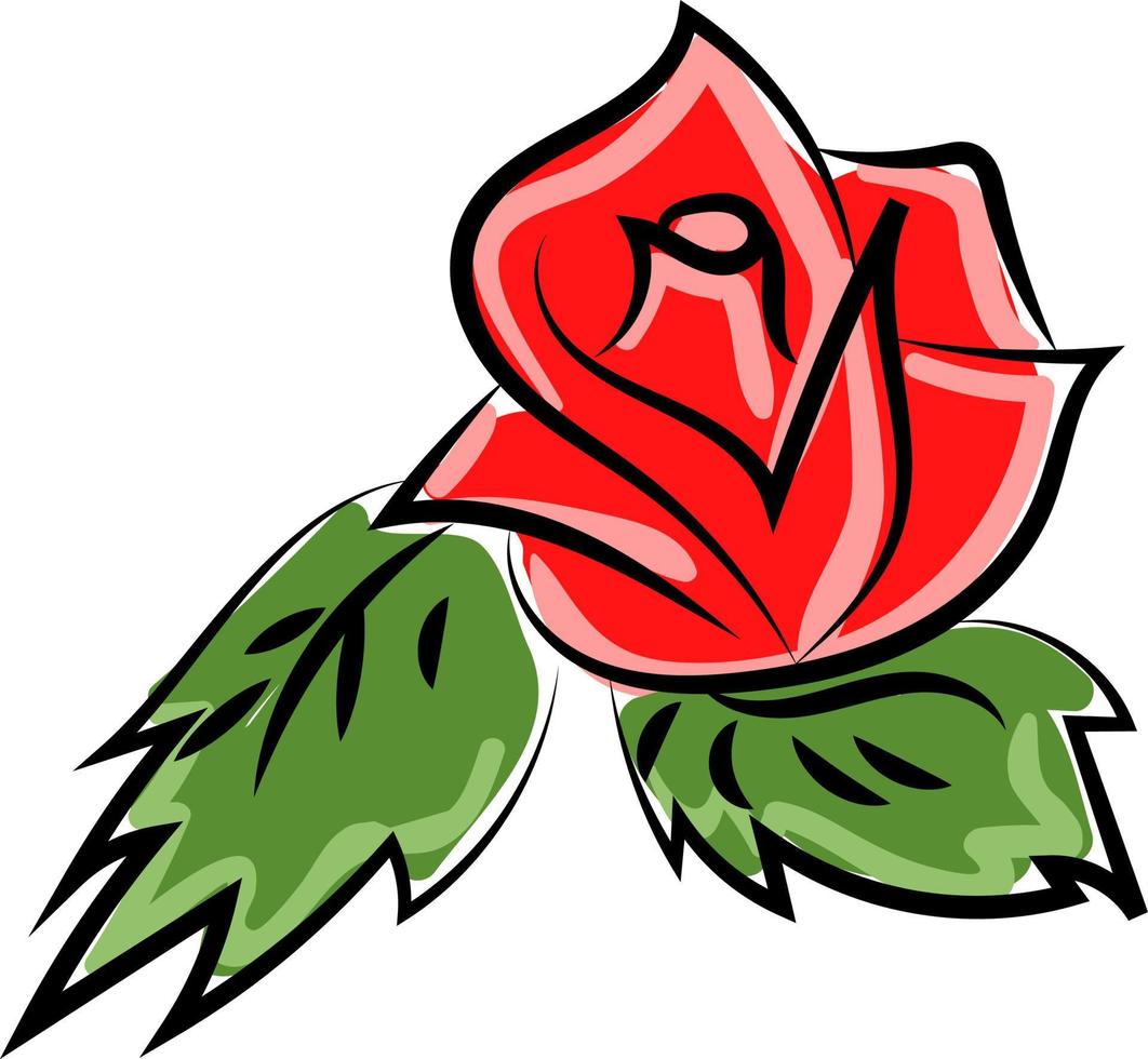 Red rose, illustration, vector on white background.