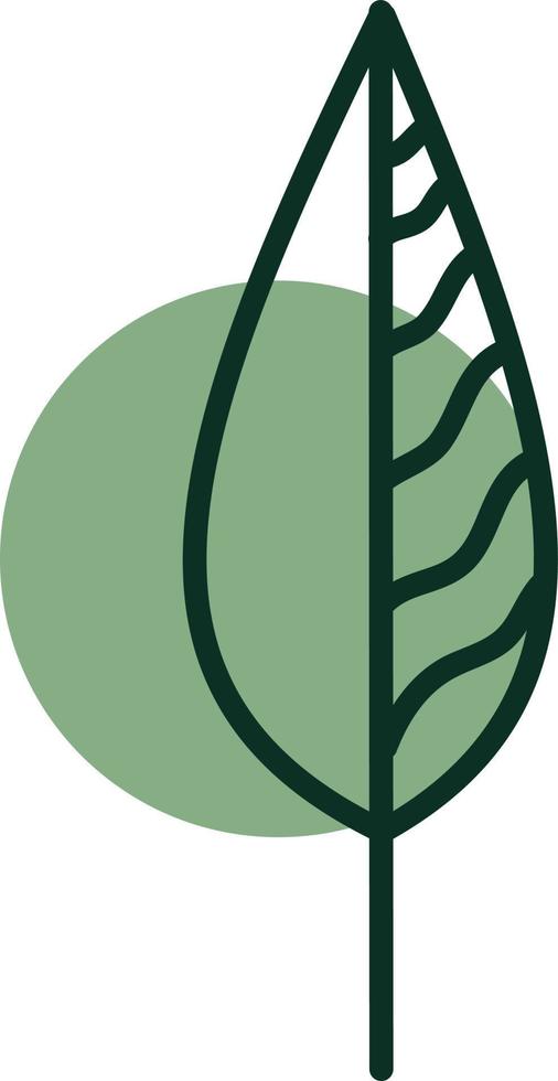 Spikey green leaf, illustration, vector, on a white background. vector