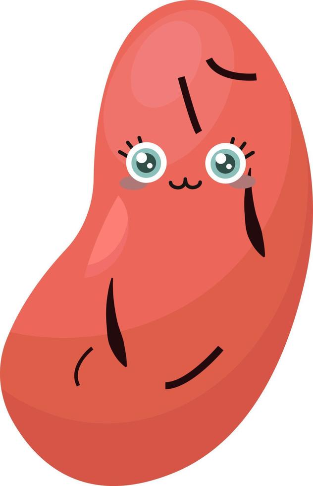 Red bean , illustration, vector on white background