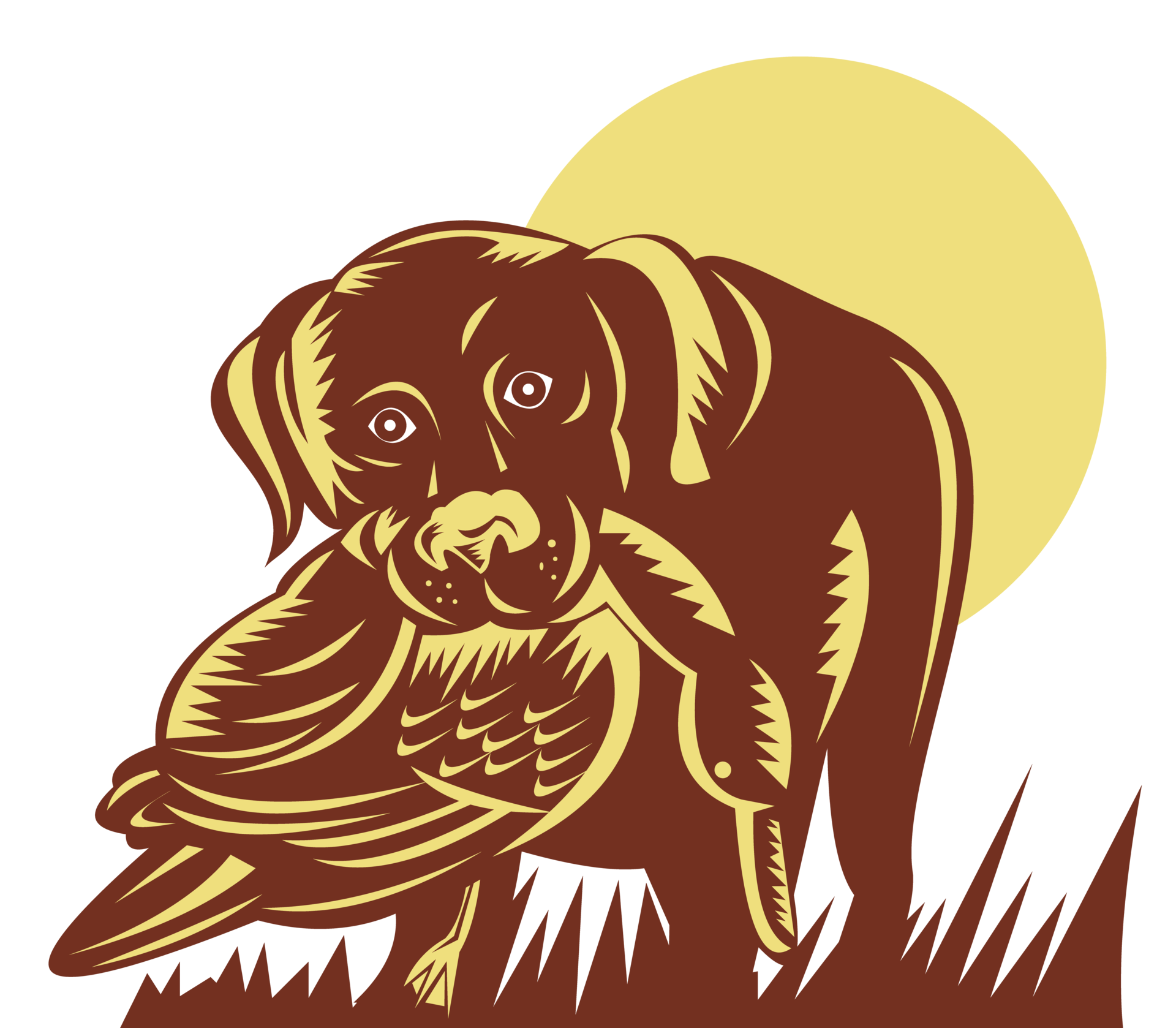 trained gun dog retrieving a duck 13790430 PNG