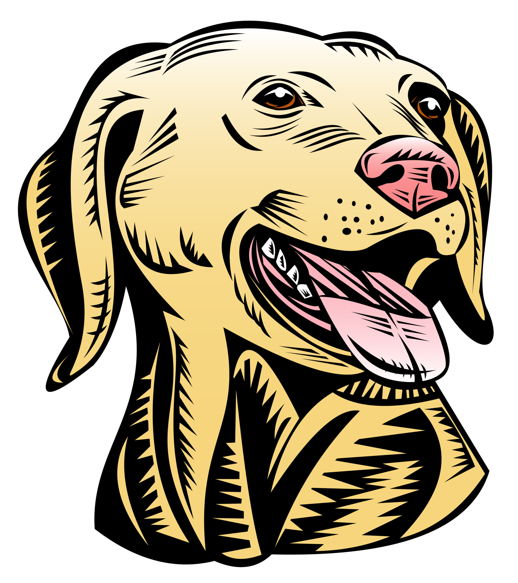 golden labrador retriever dog head 13790439 PNG