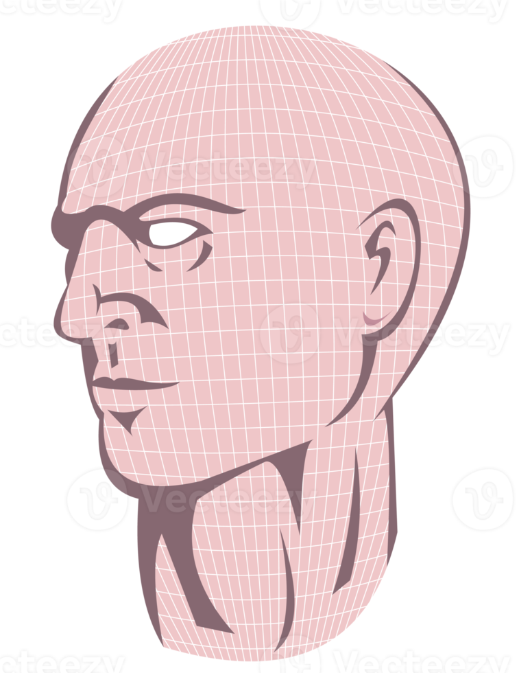 Male Human Head With Grid png