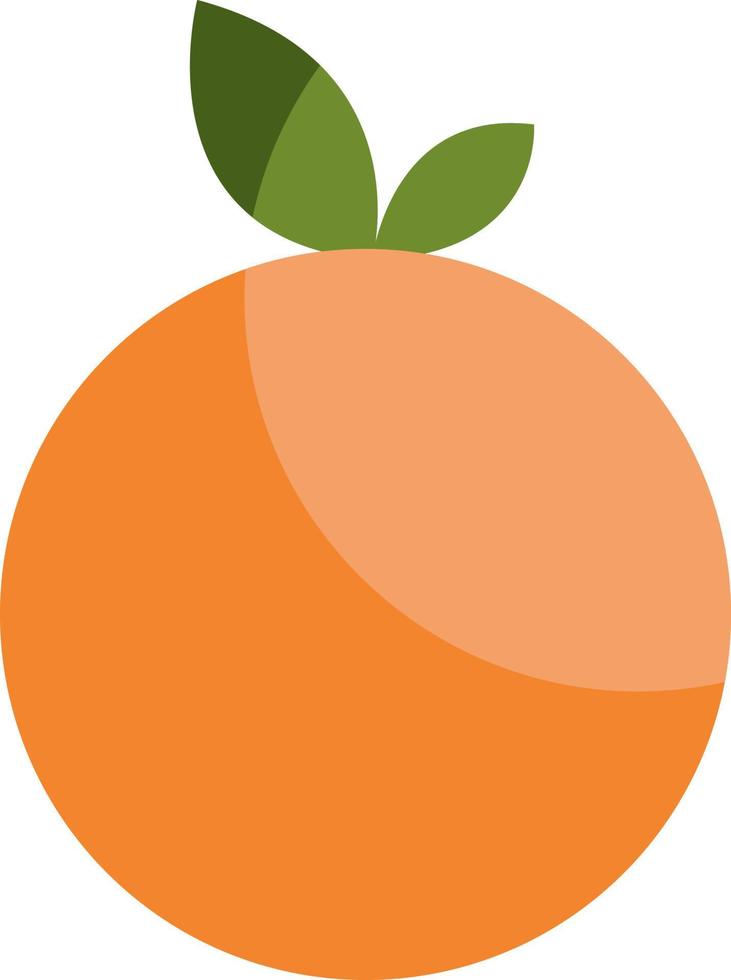 Orange the fruit, illustration, vector on a white background.