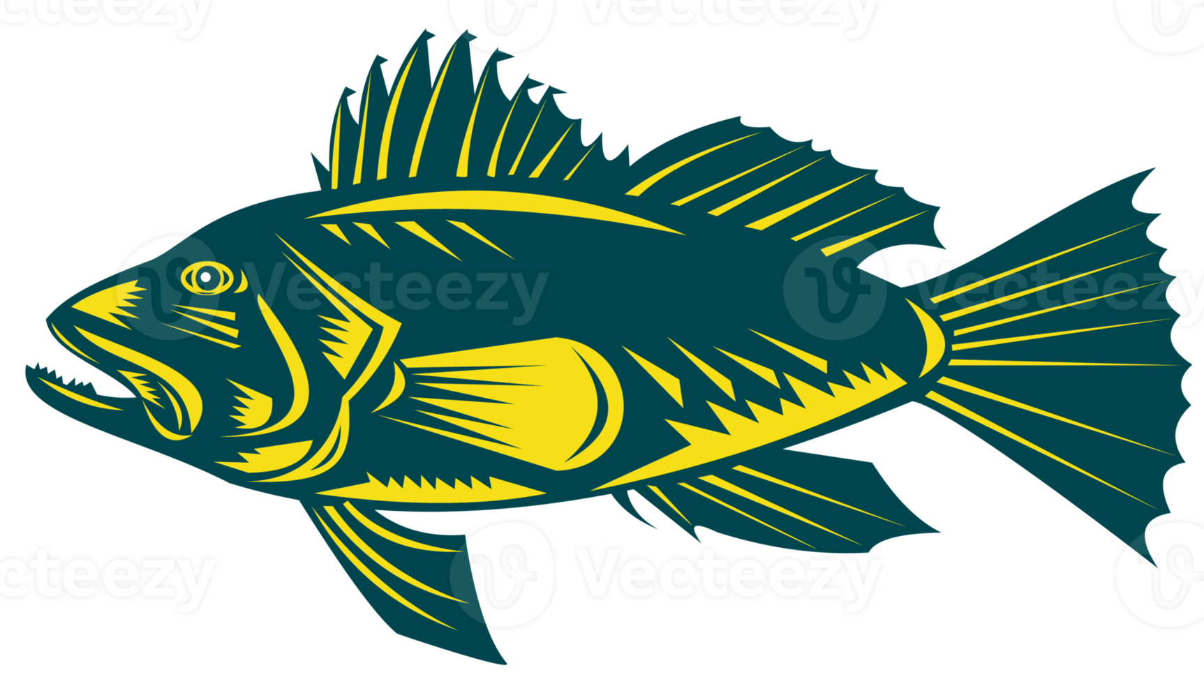 black sea bass side view png