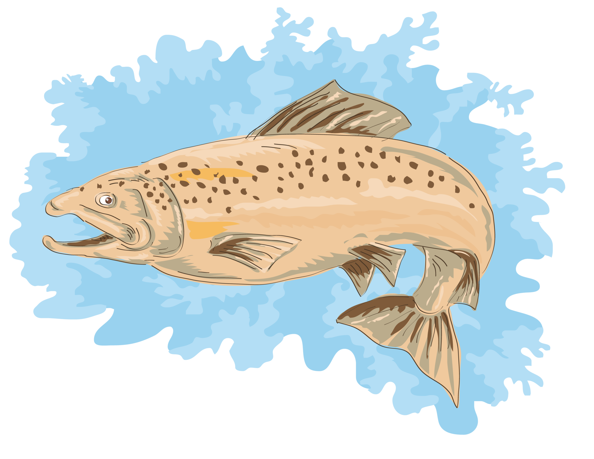 trout-fish-jumping-13790822-png