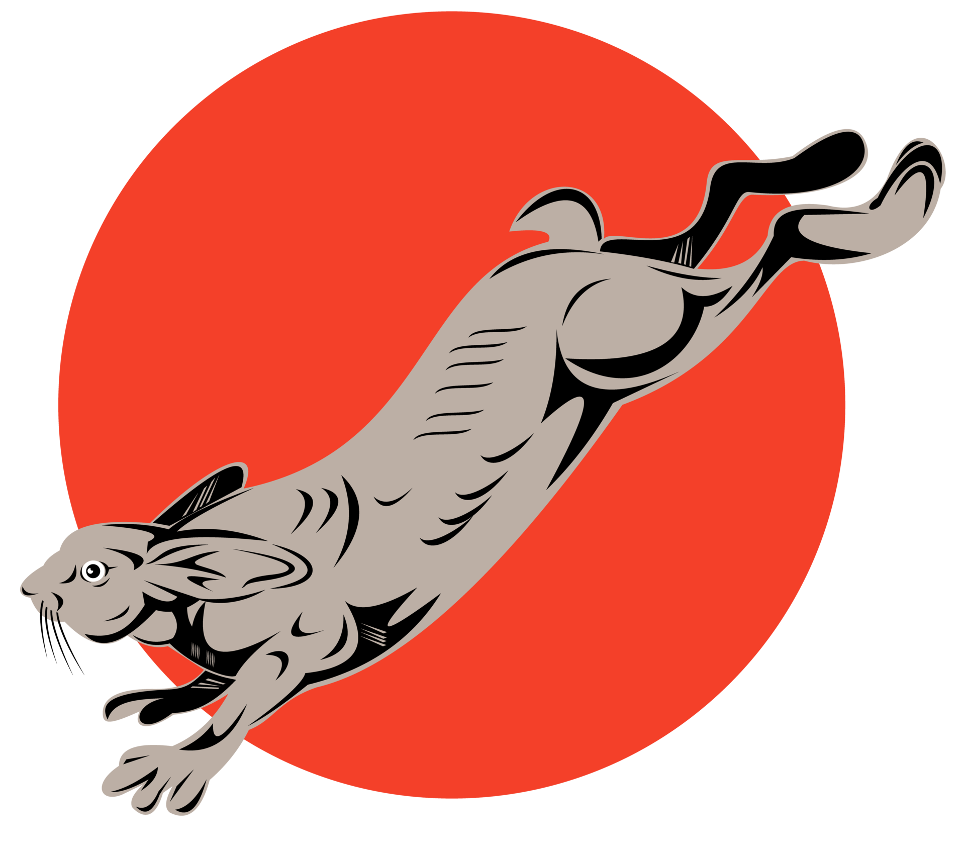 Jack Rabbit Jumping 13790834 PNG