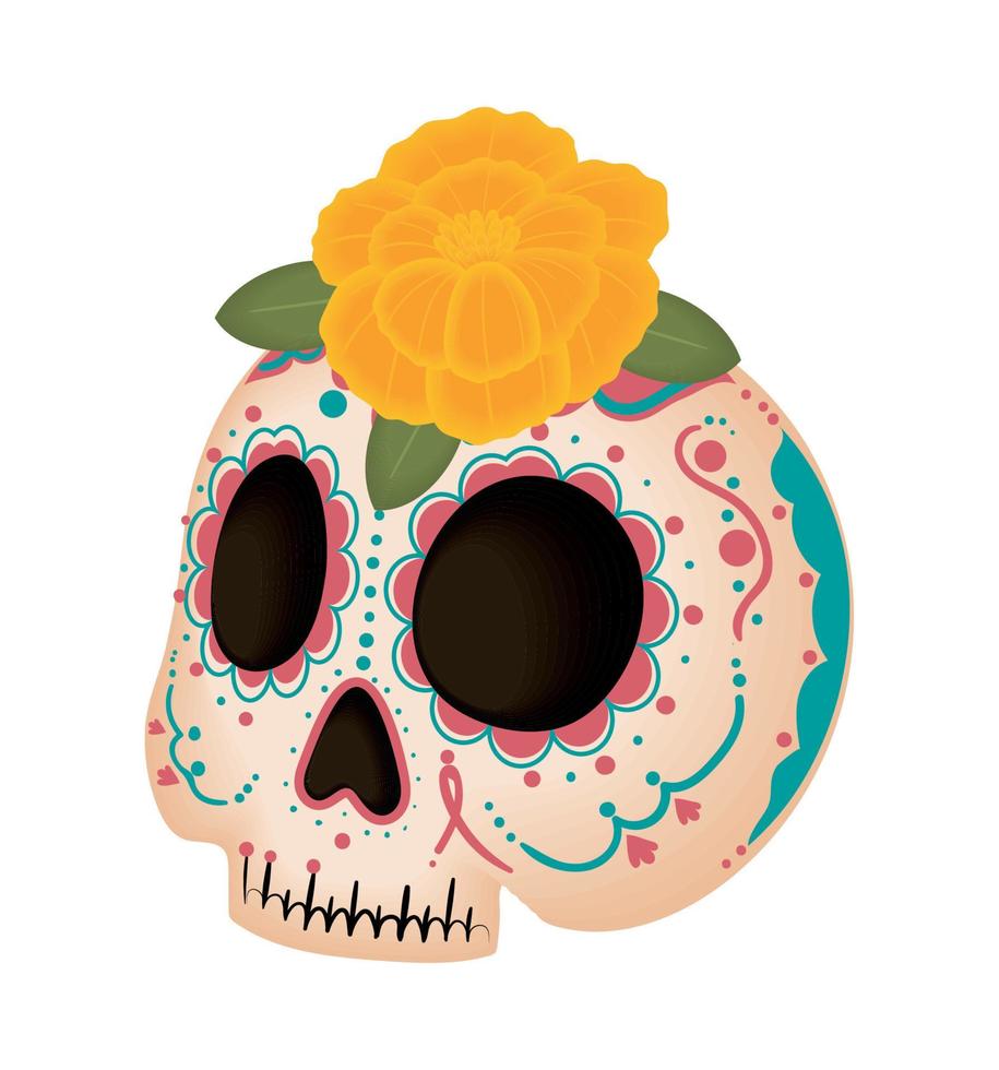 day of the dead, skull with flower vector