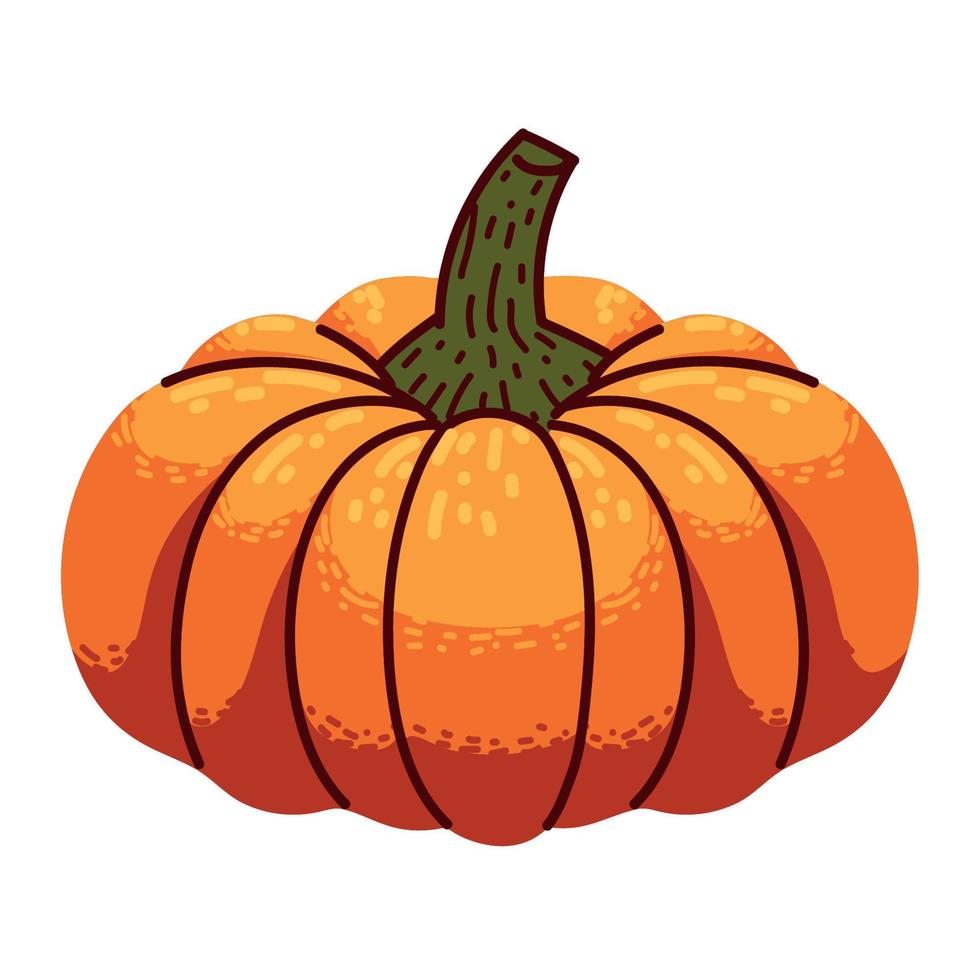 pumpkin vegetable icon vector