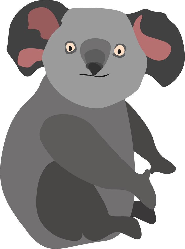 Koala on tree, illustration, vector on white background.