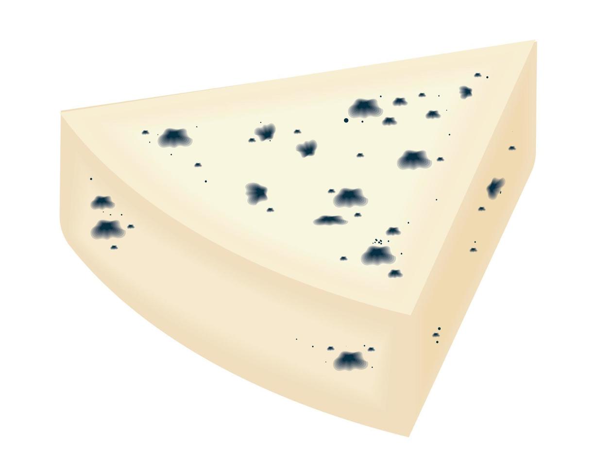 piece blue cheese realistic vector