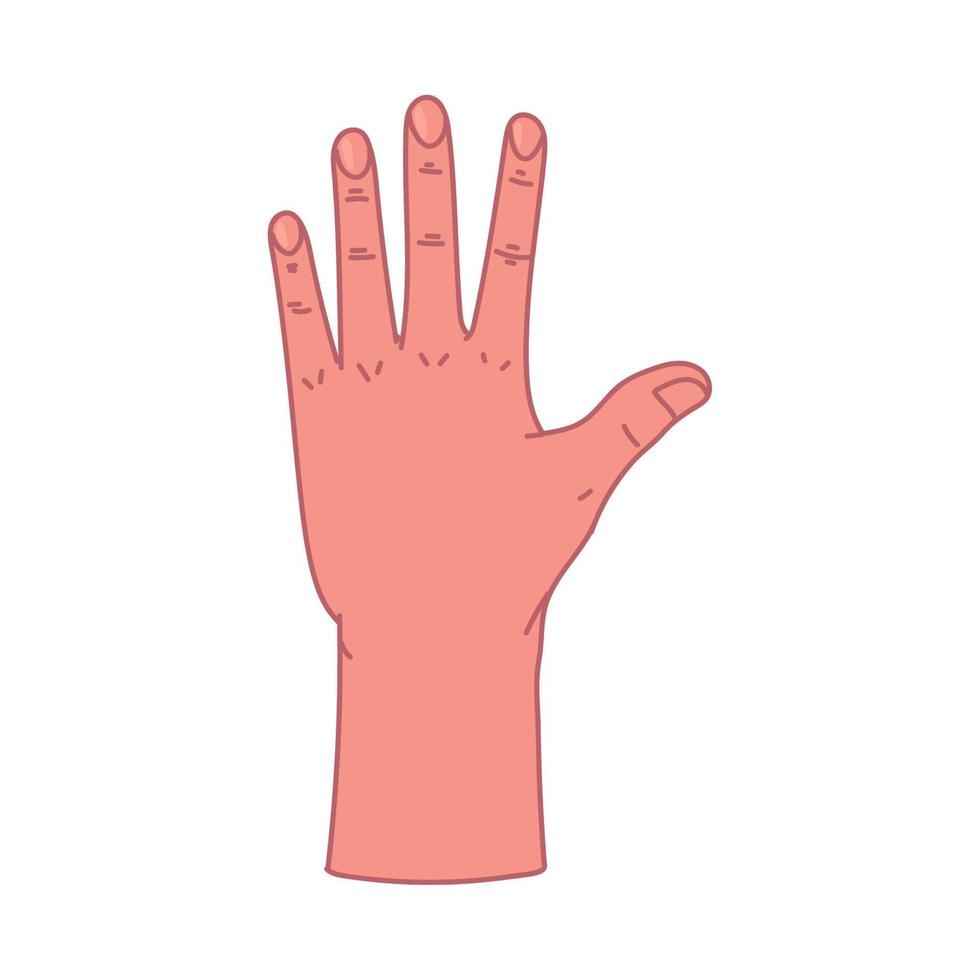 raised hand icon vector