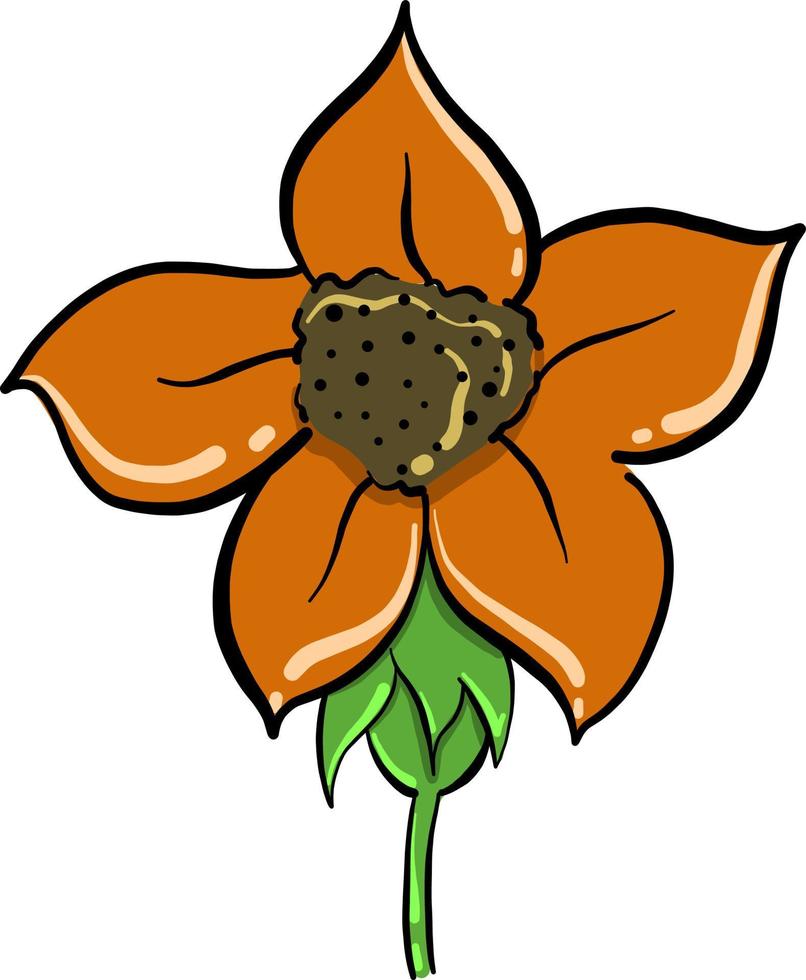 Orange flower, illustration, vector on white background