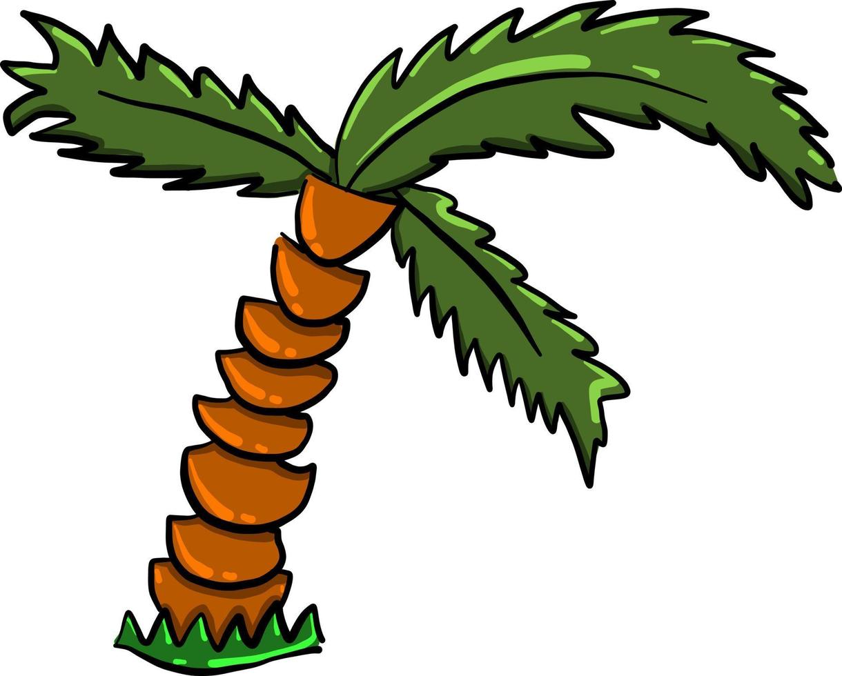 palmera, ilustración, vector sobre fondo blanco