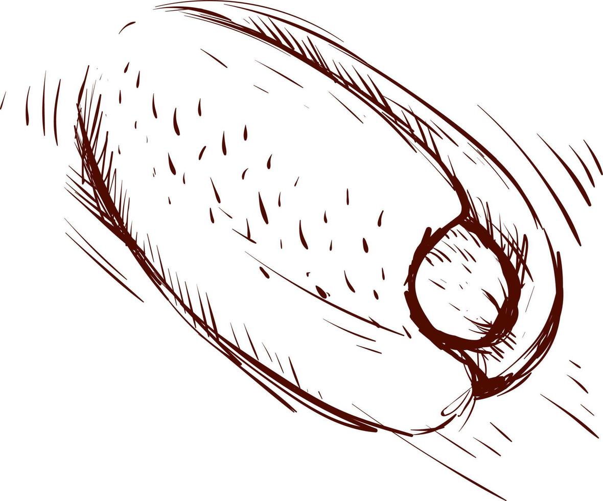 Hot dog drawing, illustration, vector on white background.