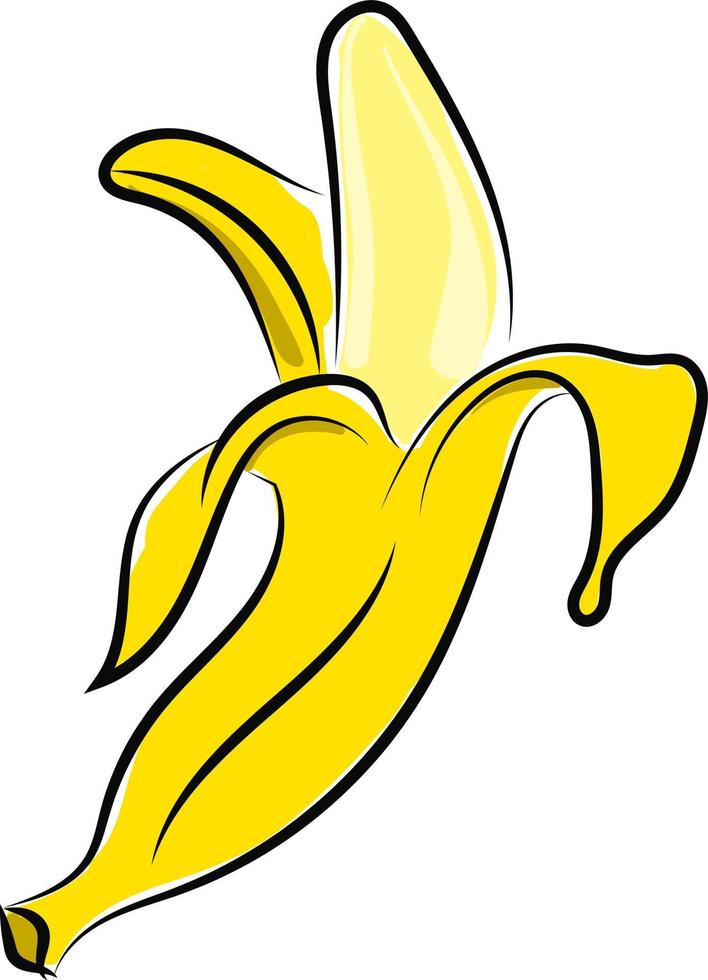 Banana, illustration, vector on white background.