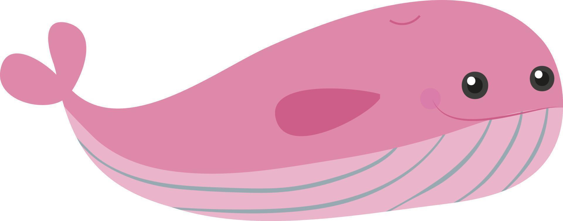 Cute pink whale, illustration, vector on white background.