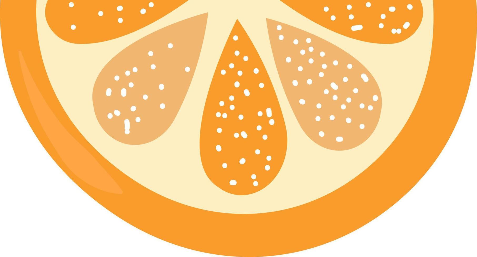 Orange slice, illustration, vector on white background.