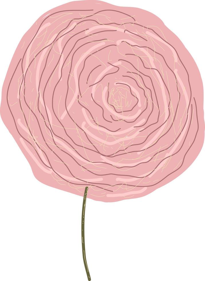 Preciosa rosa rosa, ilustración, vector sobre fondo blanco.