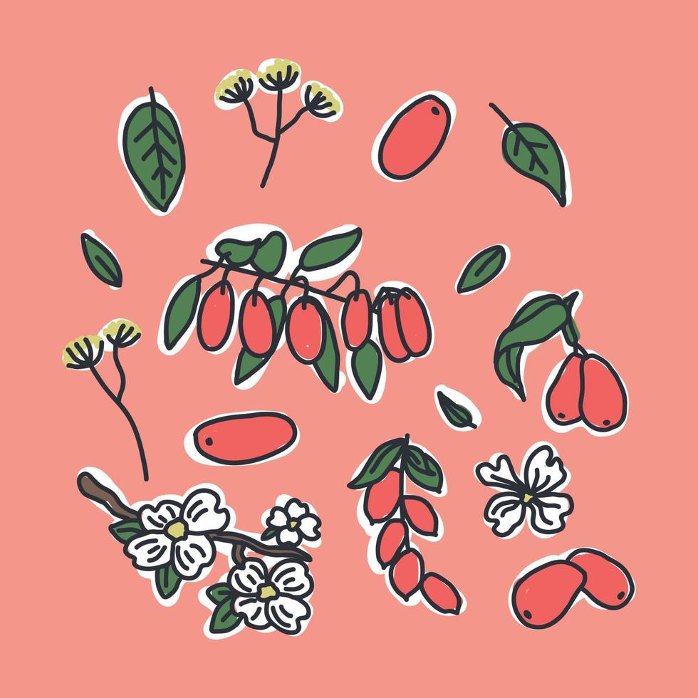 Dogwood Colorful Illustrations vector