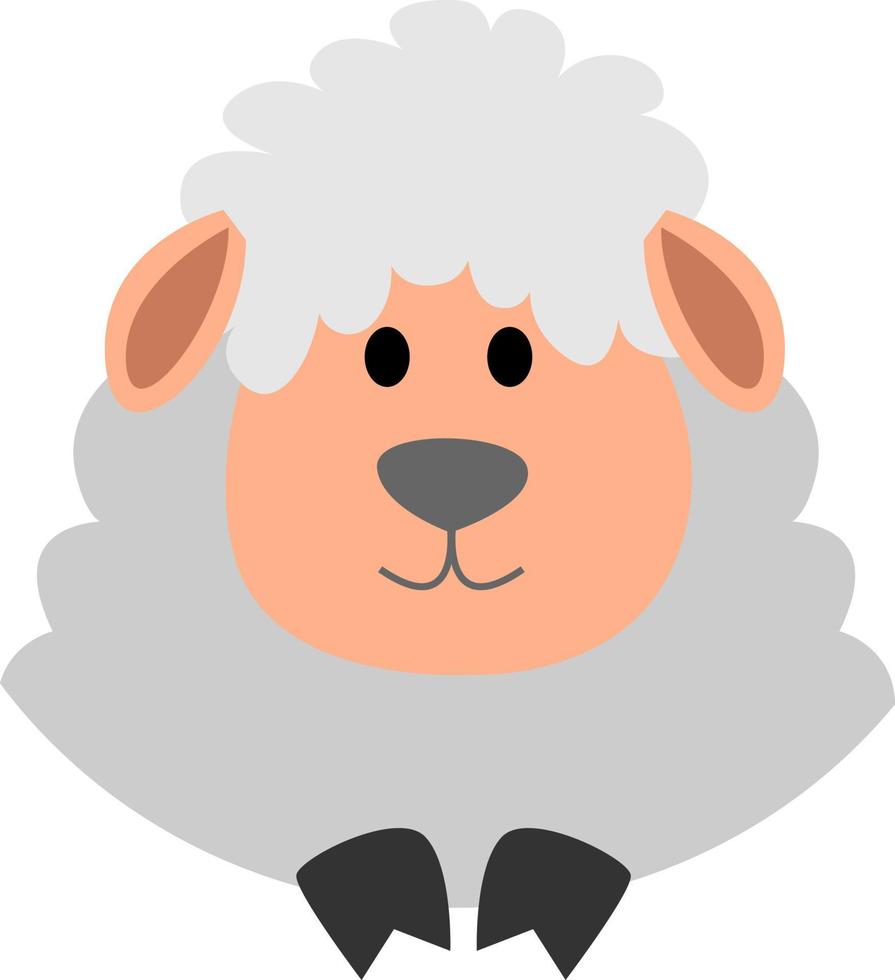 Little cute sheep, illustration, vector on white background.